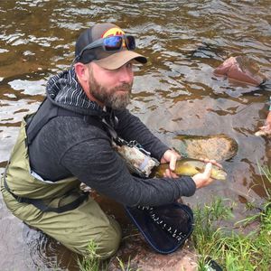 Meet your Posher, Ian